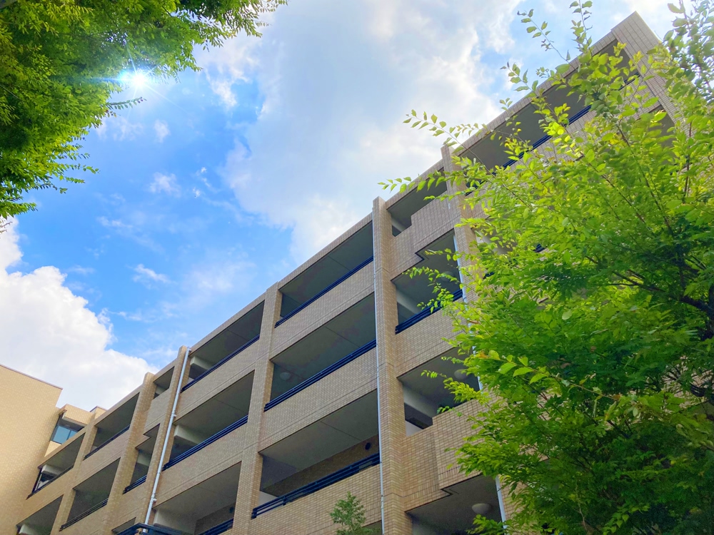 peacerealty_20230205132053